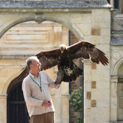 Watch the birds fly at Holdenby